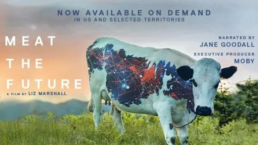 Imagem Meat-The-Future